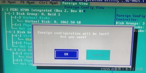 Dell服务器RAID5磁盘阵列故障解决 热备盘制作与坏盘替换详解